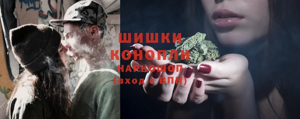 spice Алексин