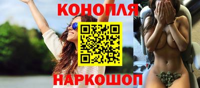 амф Камышлов