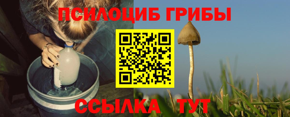 Галлюциногенные грибы ЛСД  Вход с VPN  Галлюциногенные грибы прущие грибы  Усинск 